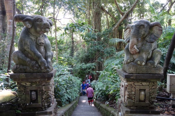 VLife Blog vlife.blog Affenwald in Ubud