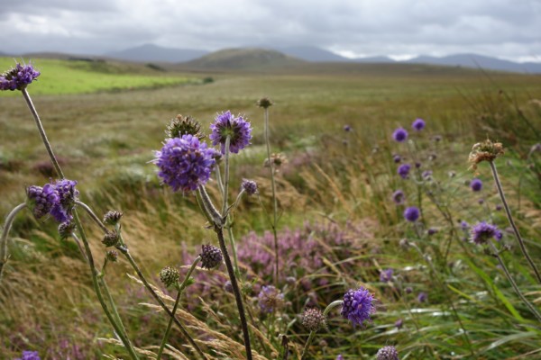 Blog Irland Ballycroy National Park