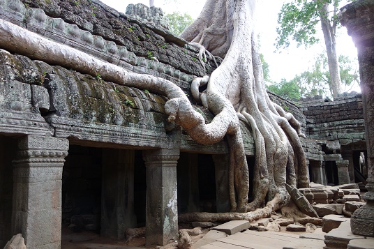 blog-kambodscha-ta-prohm