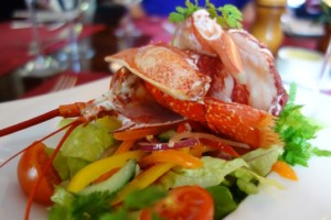 blog-sark-lobster