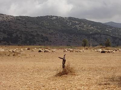 Kreta Lassithi-Hochebene