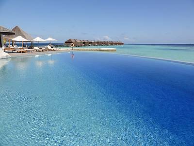 Malediven Lily Beach
