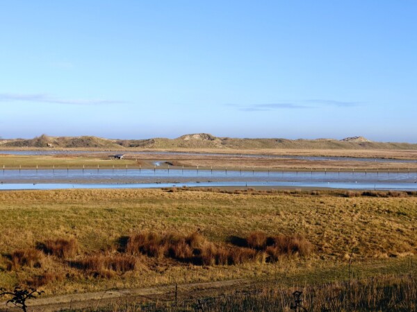 © VLife Blog vlife.blog Belgien Gezeitenlandschaft im Zwin Naturpark.