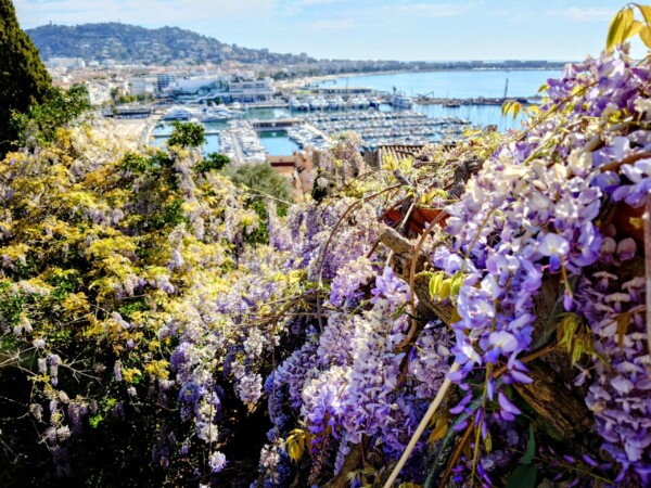 © VLife Blog vlife.blog Blick vom alten Kastell über Cannes und die Croisette.