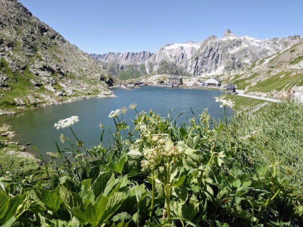© VLife Blog vlife.blog Der Grossen Sankt Bernhard-Pass liegt auf 2469 m Höhe die Landesgrenze der Schweiz zu Italien. Bahamas Martini