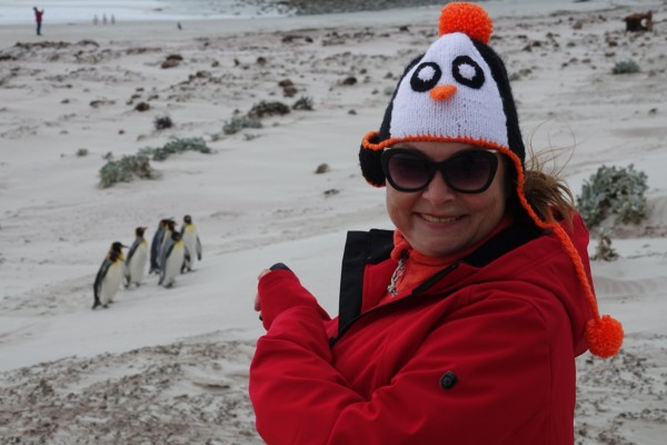 © VLife Blog vlife.blog Falkland – VLife Blog bei den Pinguinen am Volunteer Point.