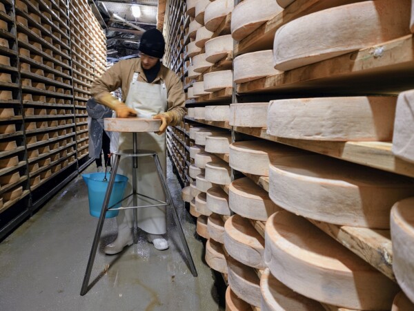 © VLife Blog vlife.blog Handarbeit im Reifungskeller der Fontina AOP Käse.