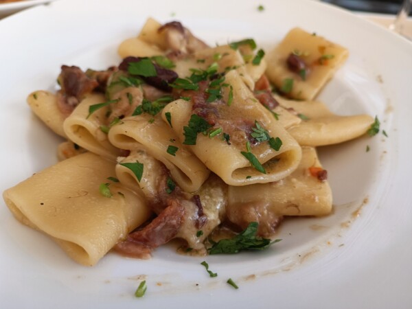 © VLife Blog vlife.blog – Paccheri mit Steinpilzen, Zucchini-Blüten und Schweinebäckchen in der Osteria dei Mercanti.