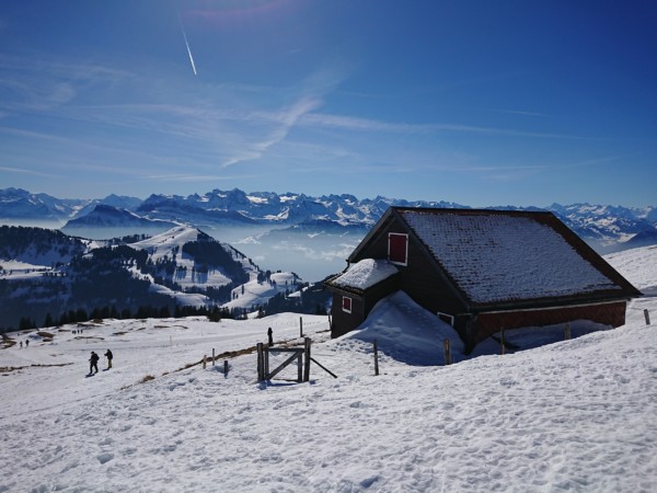 © VLife Blog – vlife.blog Wandern mit der Aussicht auf 24 Schweizer Kantone von der Rigi.