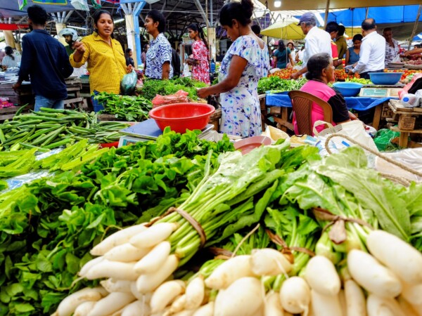 © VLife Blog vlife.blog Sri Lanka Am Donnerstag und Sonntag ist Markt in Tissamaharama.