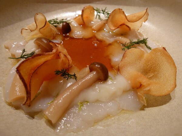 © VLife Blog vlife.blog Vorspeise des Gourmet-Menüs im Restaurant Dunas Dine.