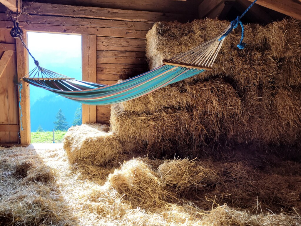 © VLife Blog vlife.blog Auf der Alp übernachten die Gäste im Stroh über dem Kuhstall.