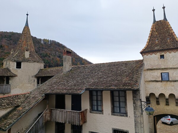 © VLife Blog vlife.blog Im Château d’Aigle fand der Wettbewerb um die besten Chasselas des Jahrgangs 2023 statt.